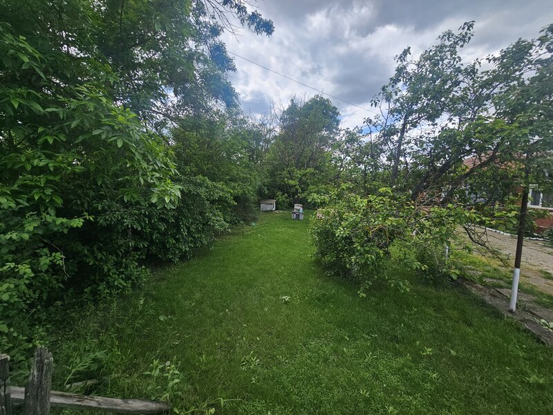 Ciolpani, Ilfov