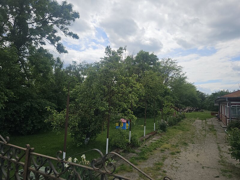 Ciolpani, Ilfov