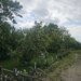 Ciolpani, Ilfov